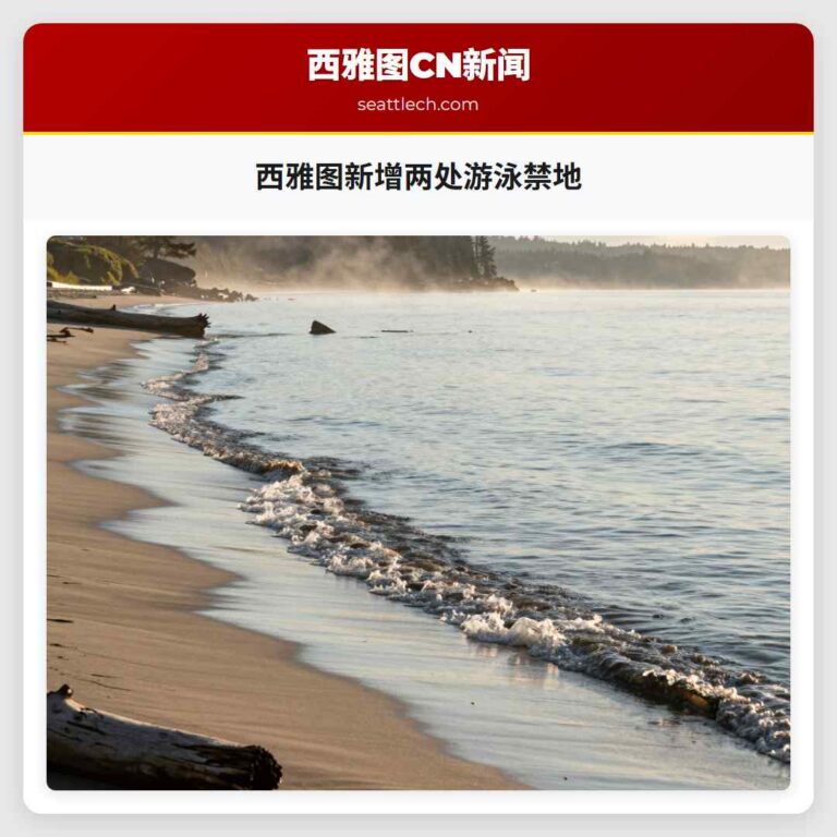 西雅图新增两处游泳禁地