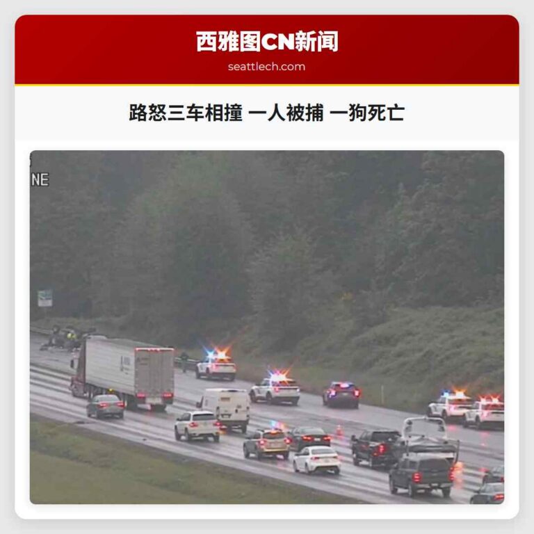 路怒三车相撞 一人被捕 一狗死亡