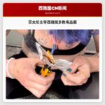 芬太尼主导西雅图多数毒品案