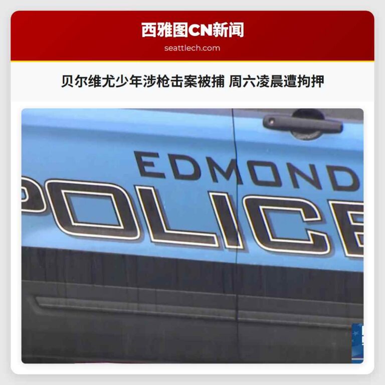 贝尔维尤少年涉枪击案被捕 周六凌晨遭拘押