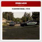 科温顿惨案邻里痛心 1死1伤