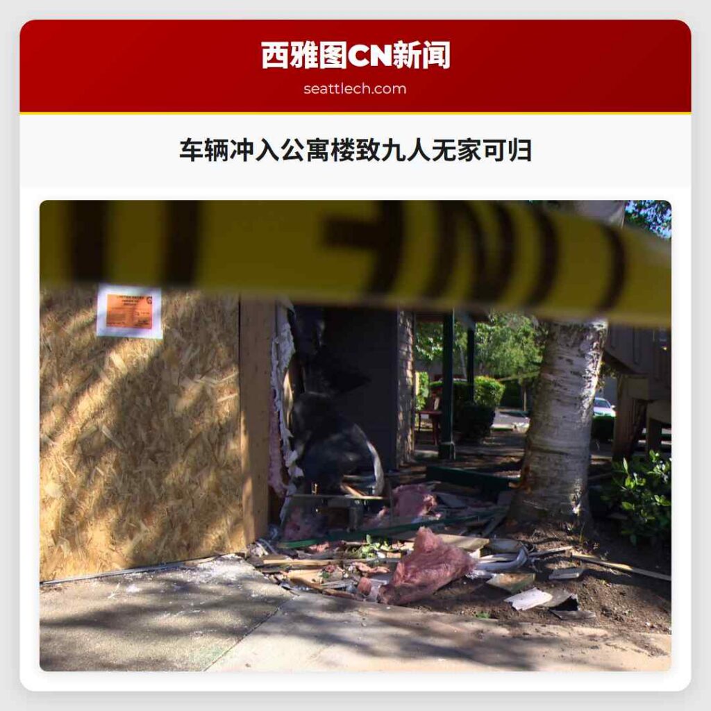 车辆冲入公寓楼致九人无家可归