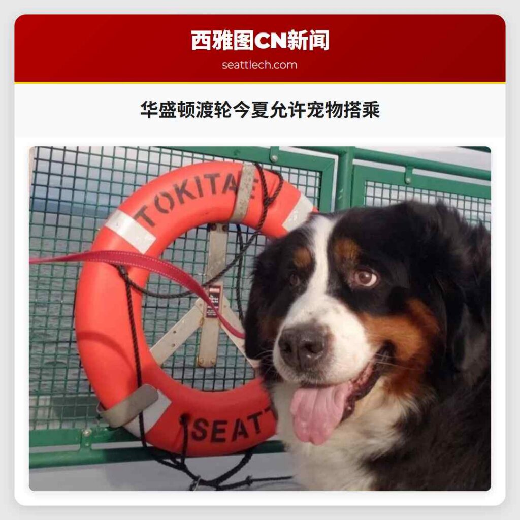 华盛顿渡轮今夏允许宠物搭乘