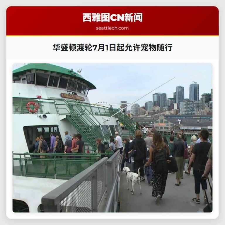 华盛顿渡轮7月1日起允许宠物随行