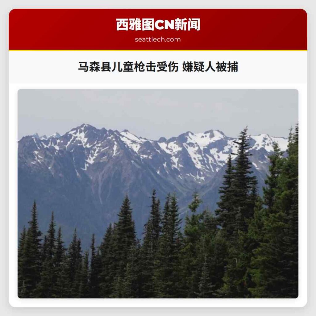 马森县儿童枪击受伤 嫌疑人被捕
