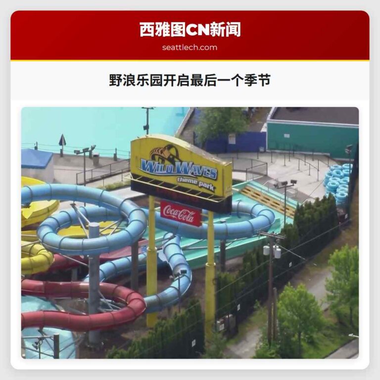 野浪乐园开启最后一个季节