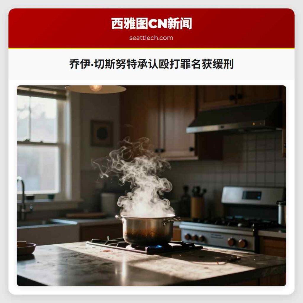 乔伊·切斯努特承认殴打罪名获缓刑