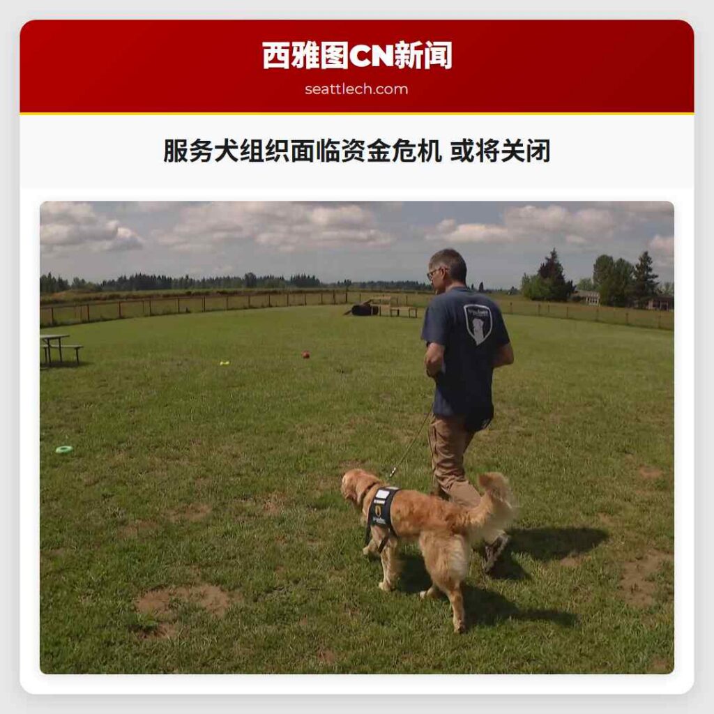 服务犬组织面临资金危机 或将关闭