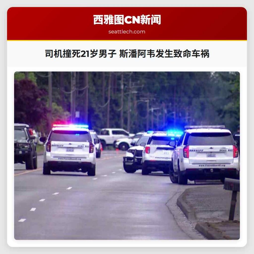 司机撞死21岁男子 斯潘阿韦发生致命车祸
