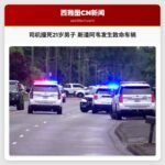 司机撞死21岁男子 斯潘阿韦发生致命车祸