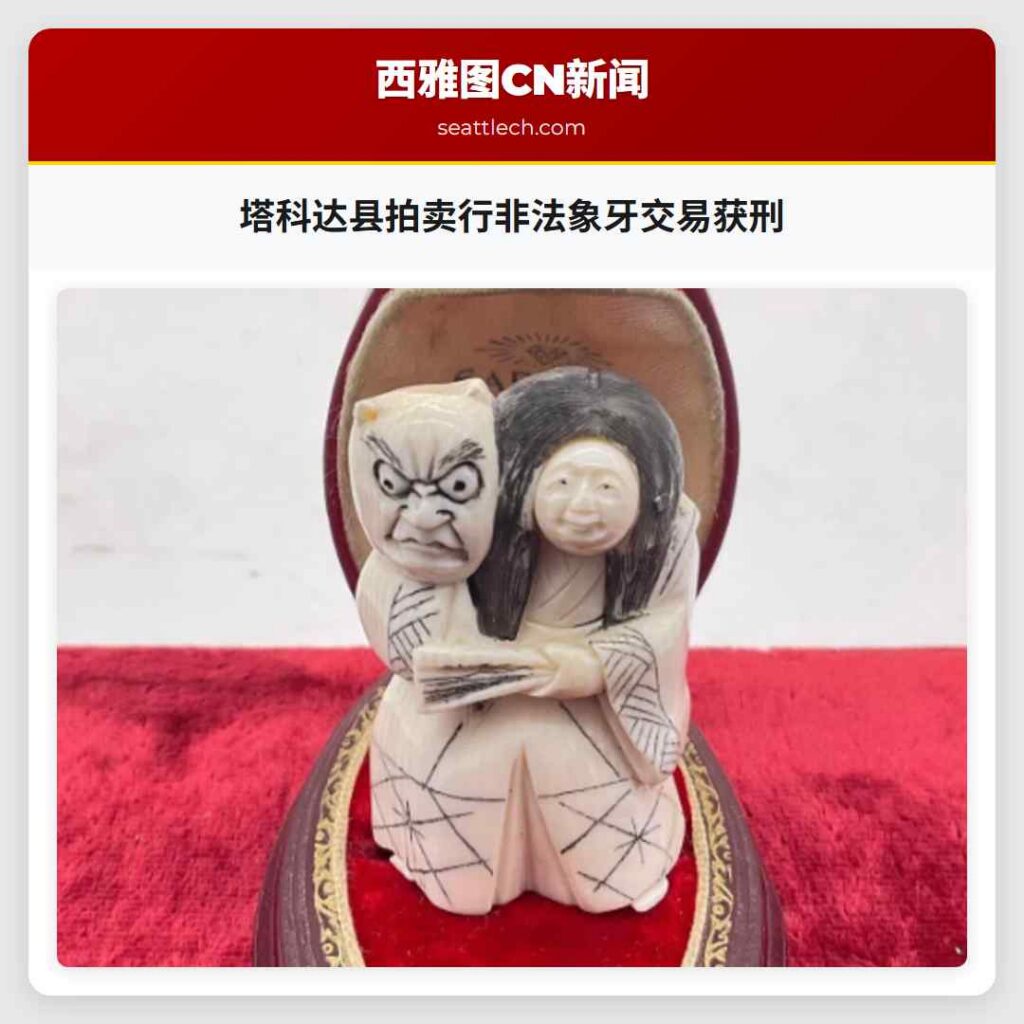 塔科达县拍卖行非法象牙交易获刑