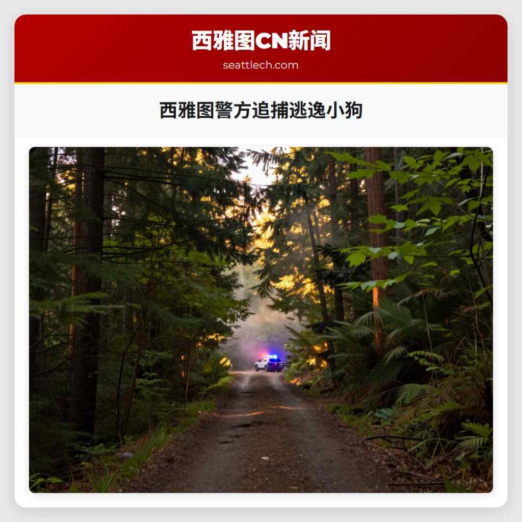 西雅图警方追捕逃逸小狗