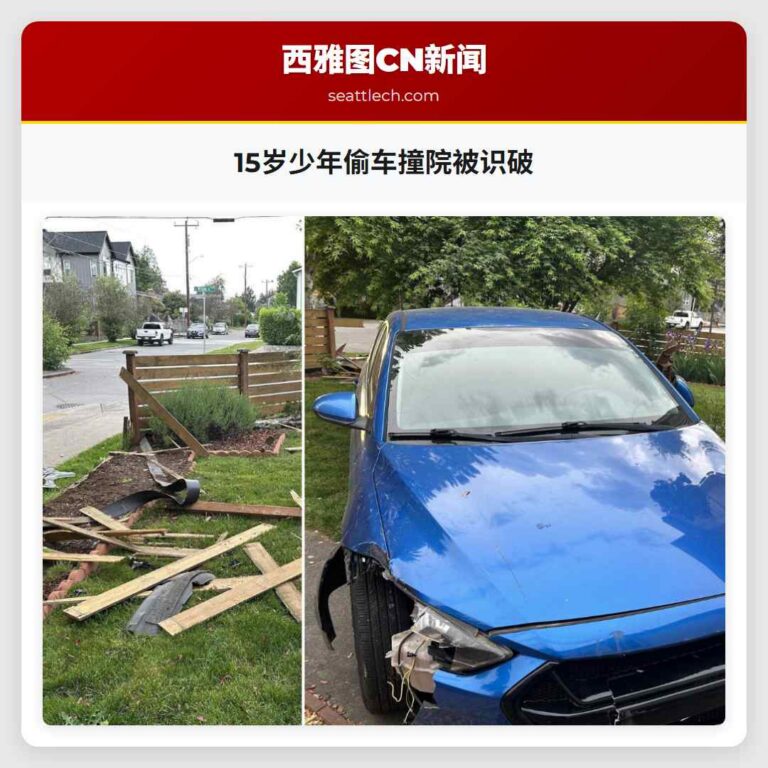 15岁少年偷车撞院被识破