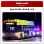奥本地铁枪击案 少年中弹 警方追查