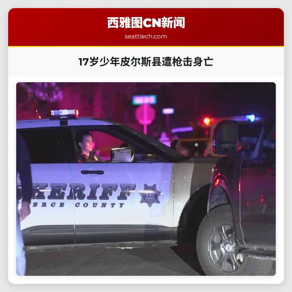 17岁少年皮尔斯县遭枪击身亡