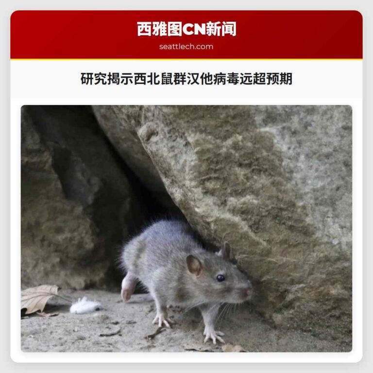 研究揭示西北鼠群汉他病毒远超预期