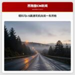 塔科马I-5高速司机向另一车开枪