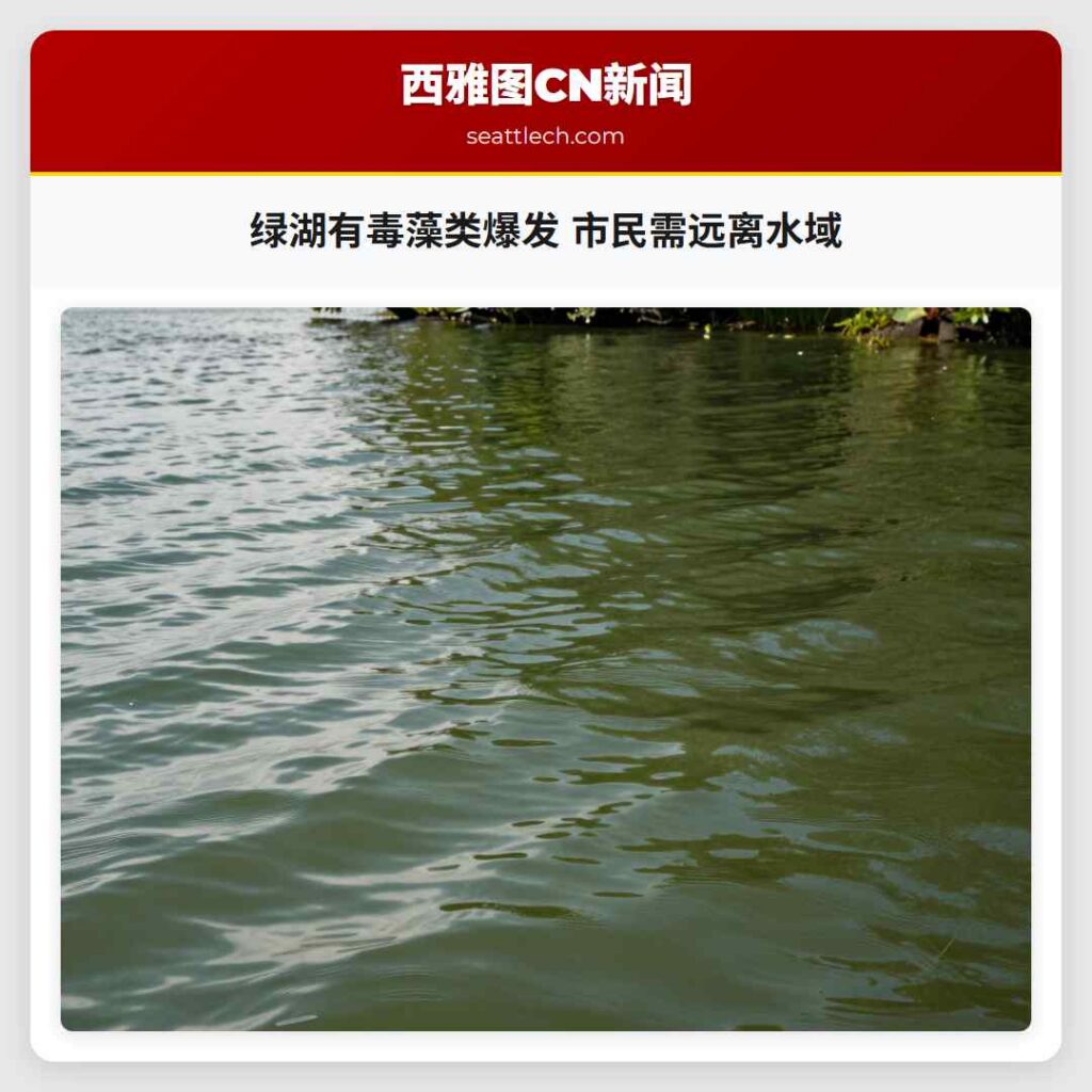 绿湖有毒藻类爆发 市民需远离水域