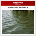 绿湖有毒藻类爆发 市民需远离水域
