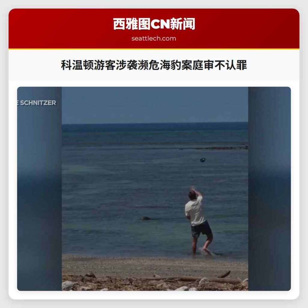 科温顿游客涉袭濒危海豹案庭审不认罪