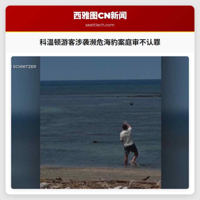 科温顿游客涉袭濒危海豹案庭审不认罪