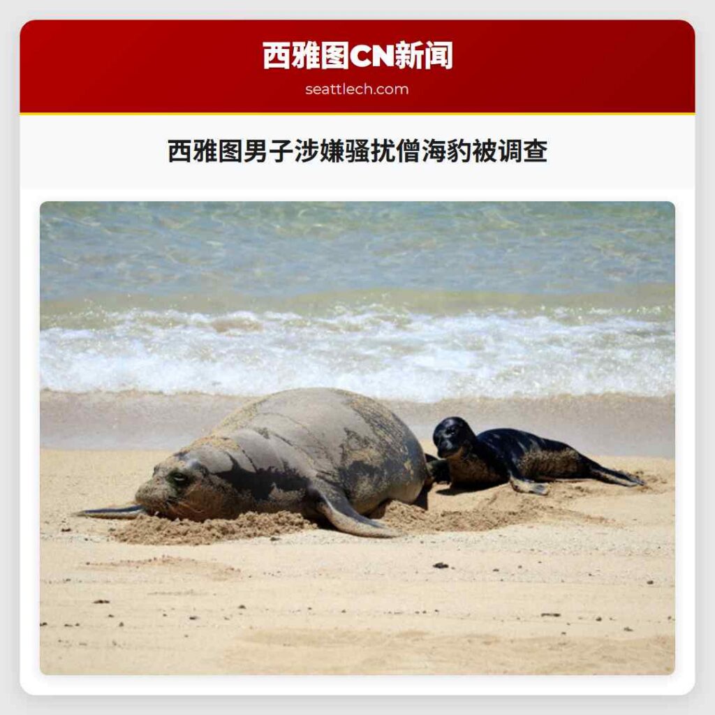 西雅图男子涉嫌骚扰僧海豹被调查