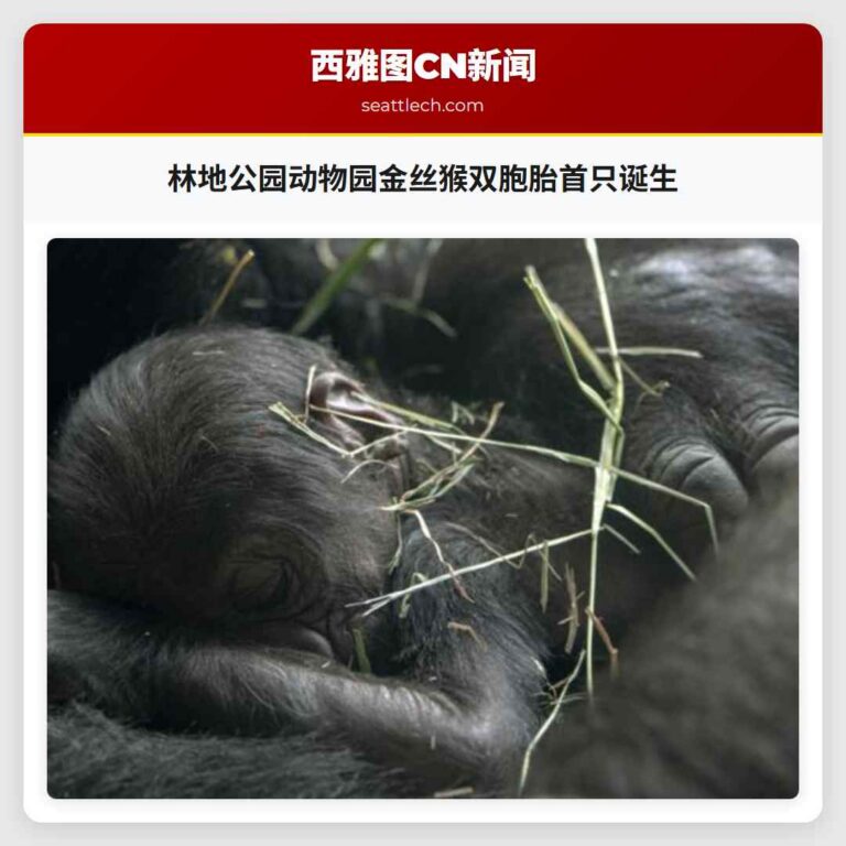 林地公园动物园金丝猴双胞胎首只诞生
