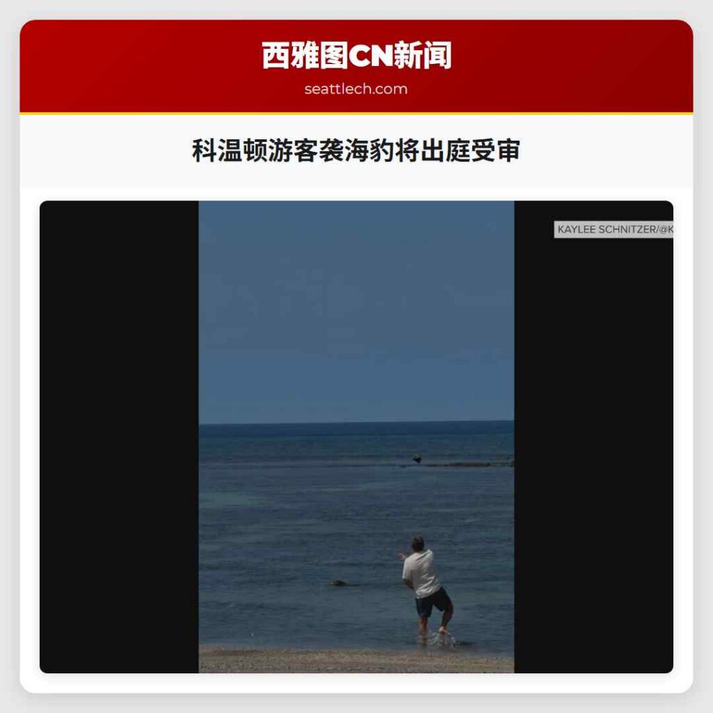 科温顿游客袭海豹将出庭受审