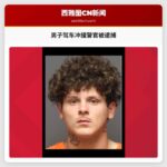 男子驾车冲撞警官被逮捕