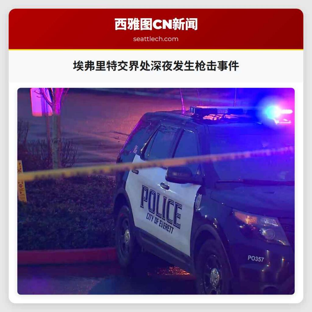 埃弗里特交界处深夜发生枪击事件