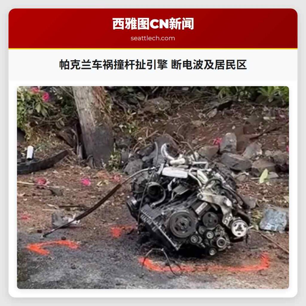 帕克兰车祸撞杆扯引擎 断电波及居民区