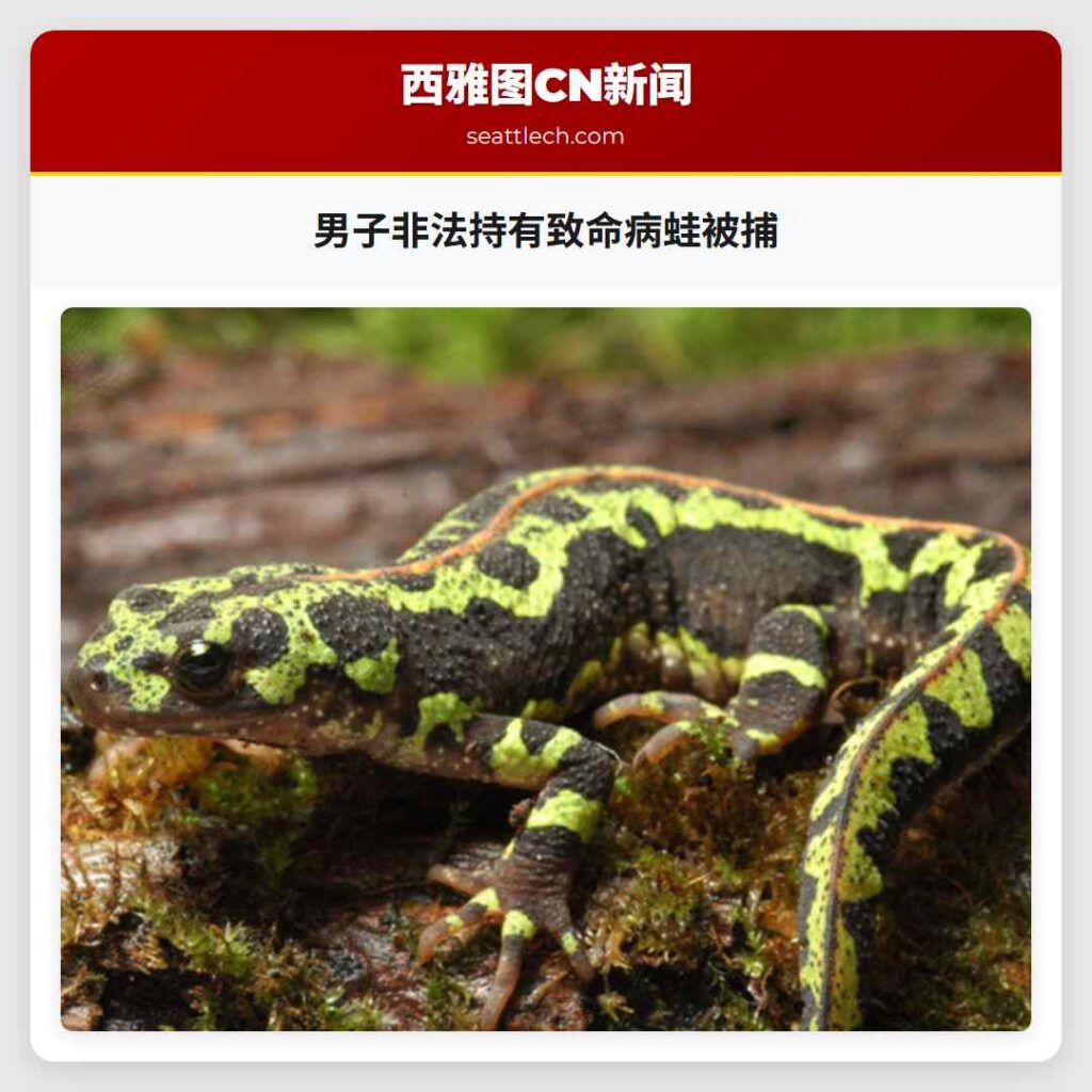 男子非法持有致命病蛙被捕
