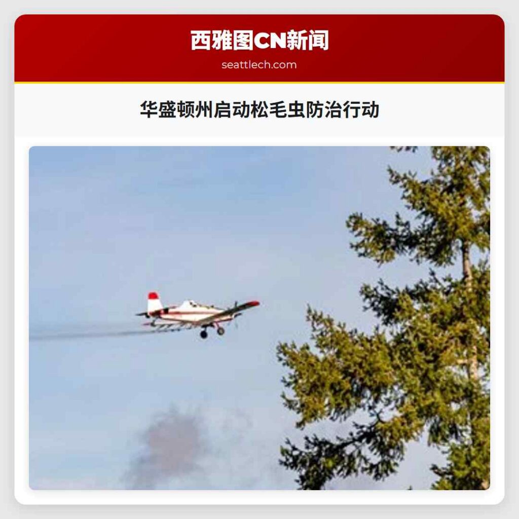 华盛顿州启动松毛虫防治行动