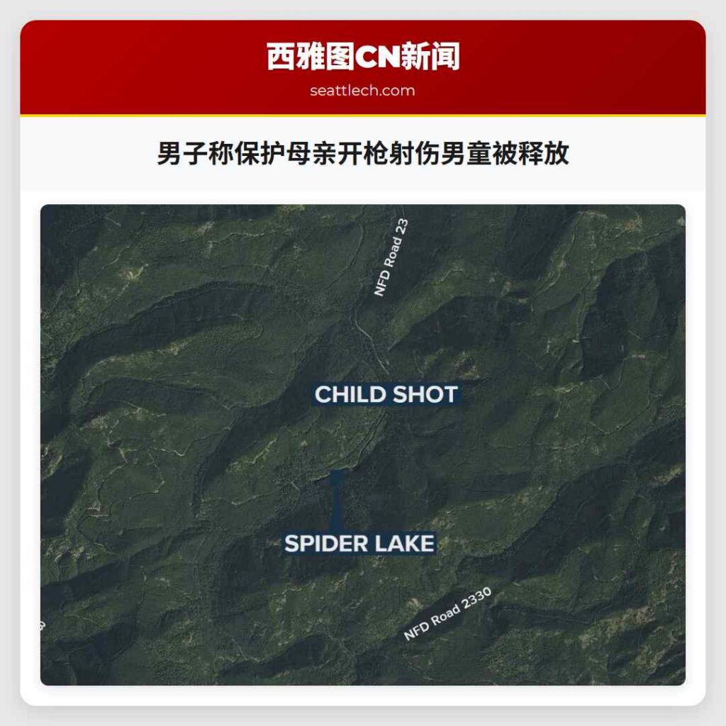 男子称保护母亲开枪射伤男童被释放