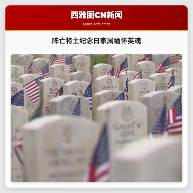 阵亡将士纪念日家属缅怀英魂
