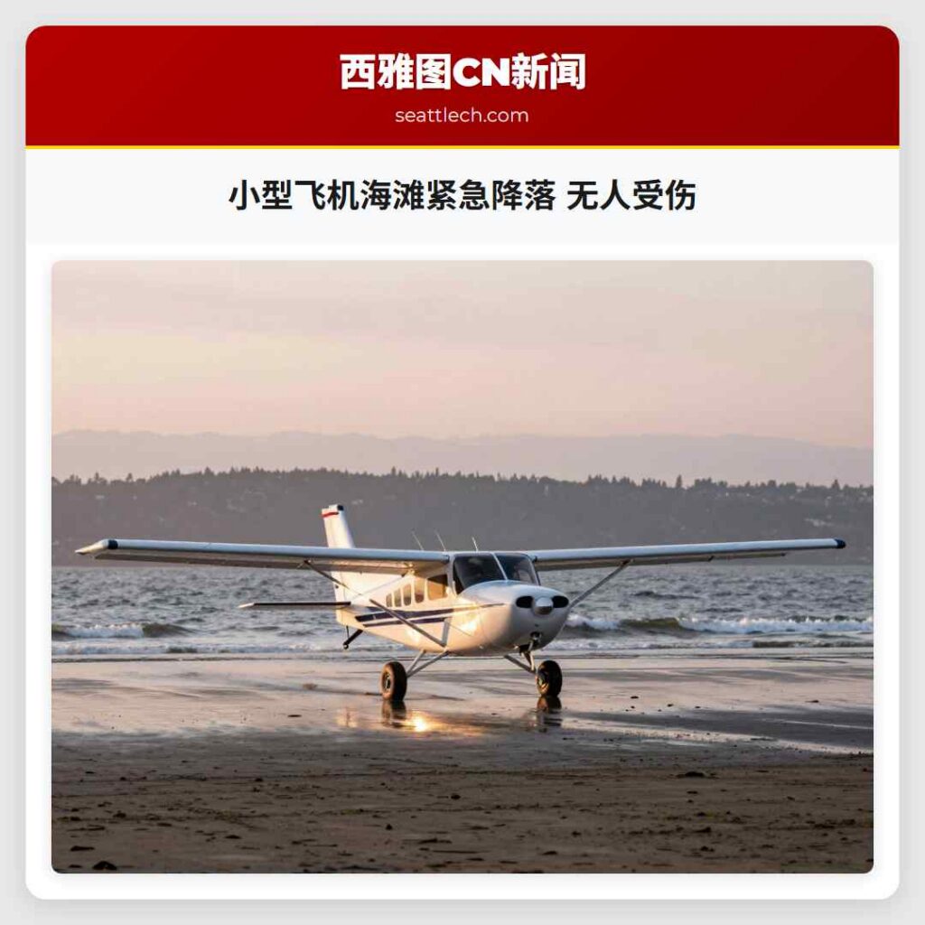 小型飞机海滩紧急降落 无人受伤