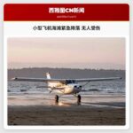 小型飞机海滩紧急降落 无人受伤