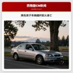 两名男子车祸撞杆起火身亡