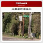 少女遭性侵事件引发社会关注