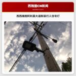 西西雅图阿利基大道新装行人信号灯