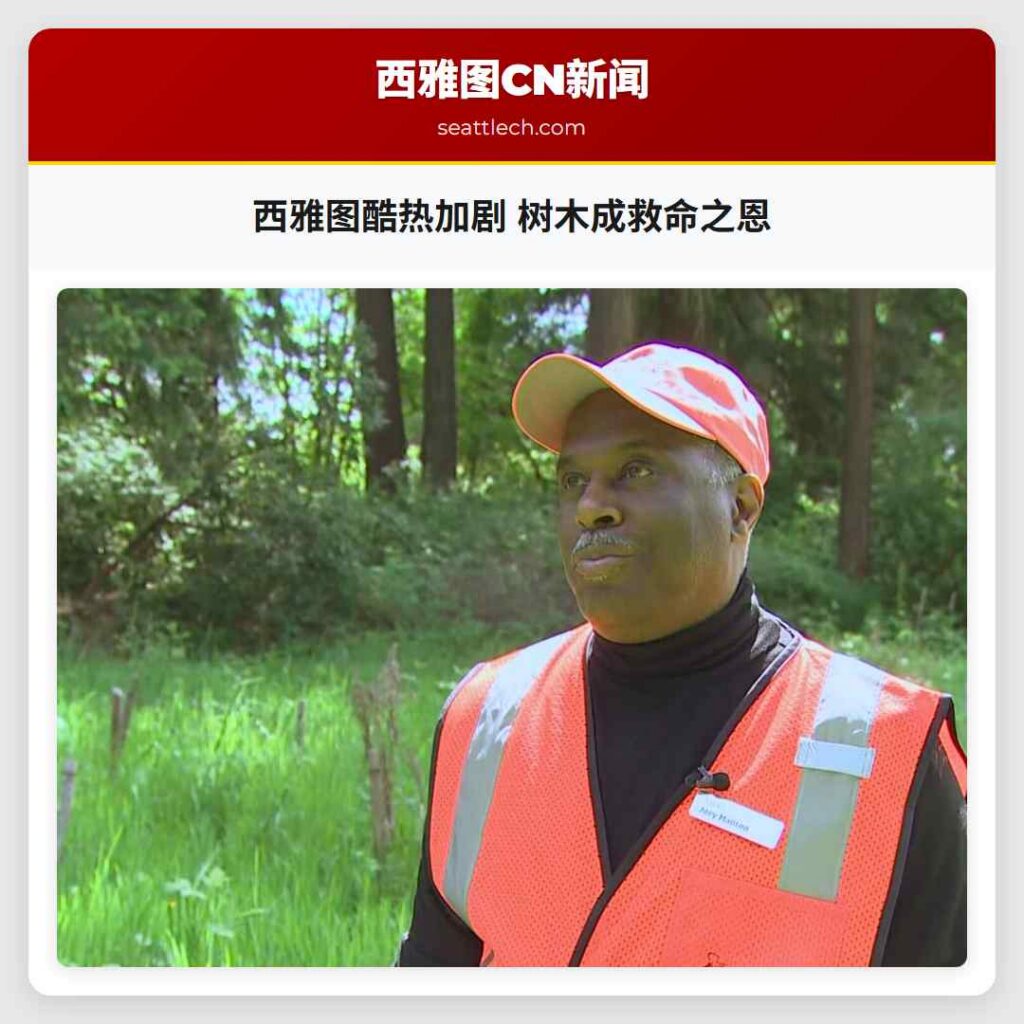 西雅图酷热加剧 树木成救命之恩