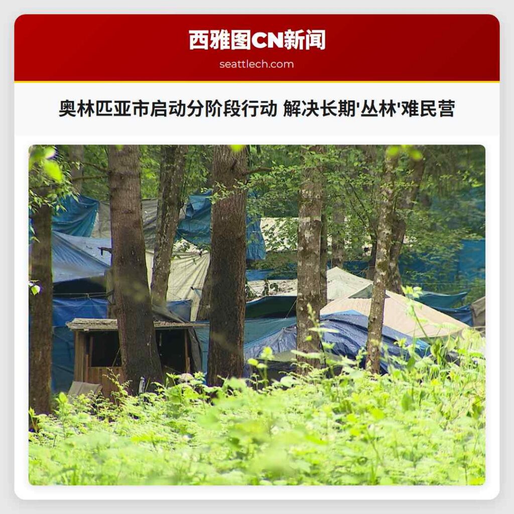 奥林匹亚市启动分阶段行动 解决长期'丛林'难民营