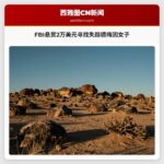 FBI悬赏2万美元寻找失踪德梅因女子