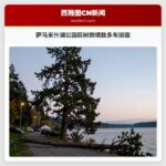 萨马米什湖公园巨树倒塌致多车损毁