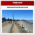 西雅图居民担忧夏季游客激增治安隐患