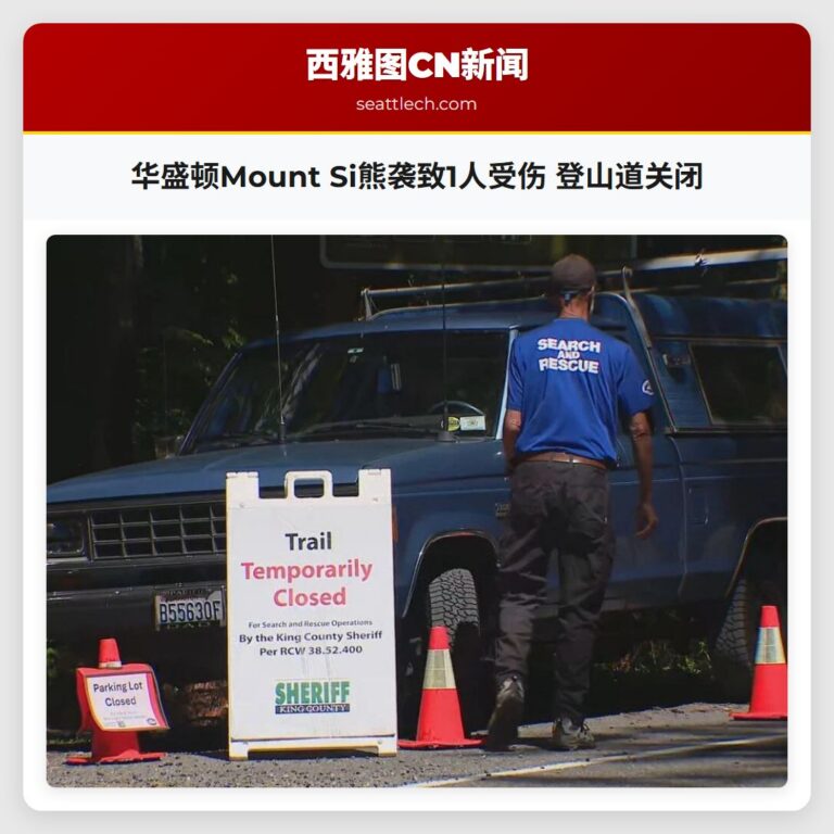 华盛顿Mount Si熊袭致1人受伤 登山道关闭