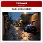 韦纳奇少年涉致命刺杀案被拘