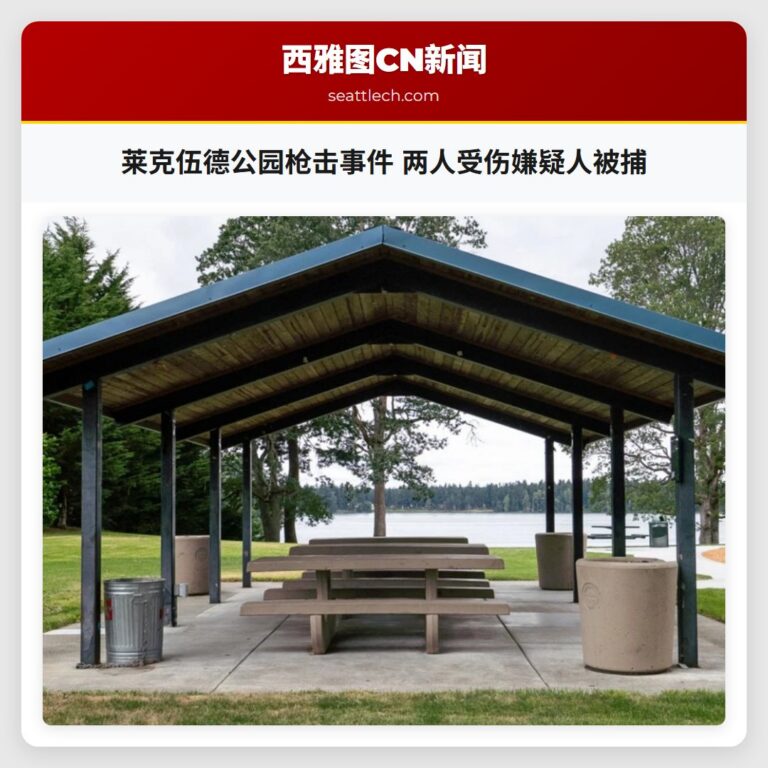 莱克伍德公园枪击事件 两人受伤嫌疑人被捕