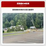 霍奎姆树木倒伏引变压器爆炸