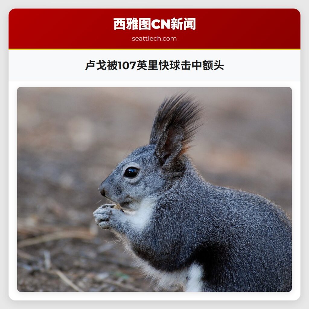 卢戈被107英里快球击中额头